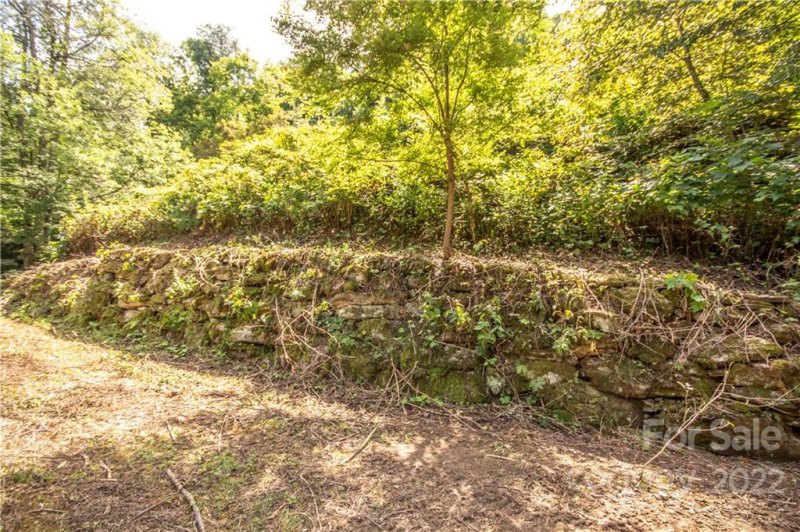 Property image 4 at Lot 53 Olympia Lane, Waynesville, NC 28786