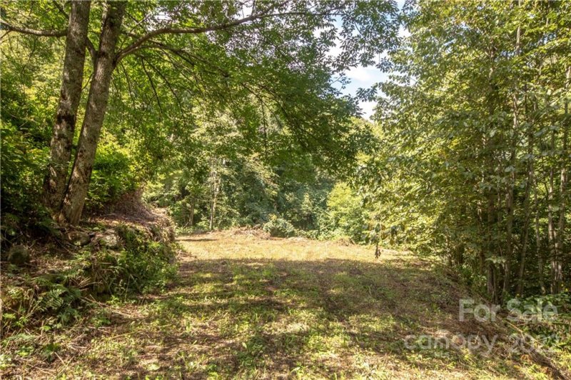 Property image 5 at Lot 53 Olympia Lane, Waynesville, NC 28786