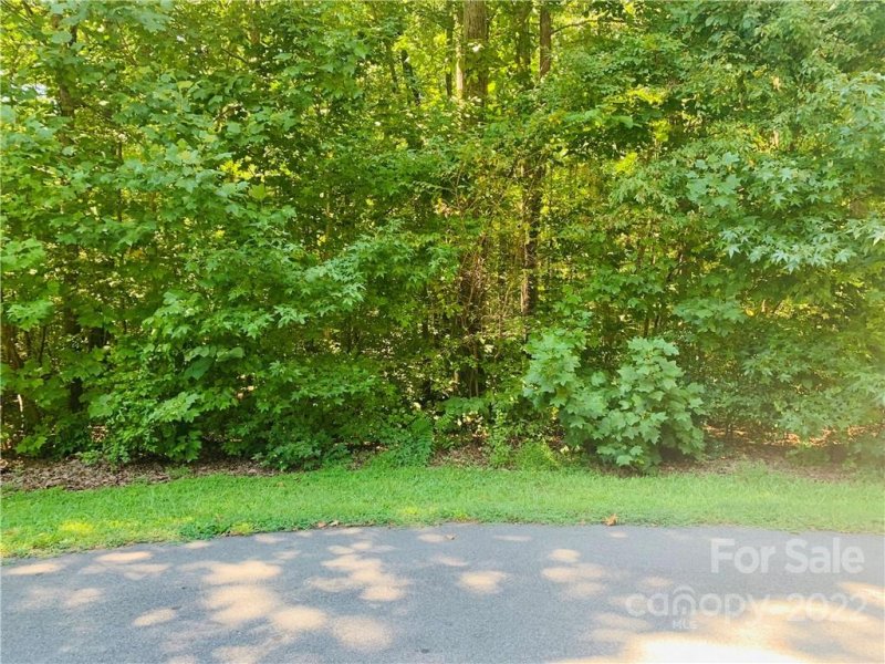 Property image 3 at 285 Worthington Drive, Mt Ulla, NC 28125