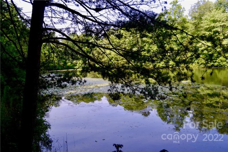 Property image 5 at 0 Shepherds Creek Circle, Rutherfordton, NC 28139