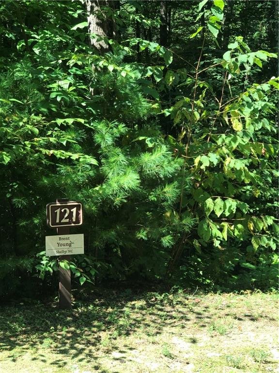 Property image 3 of 190 Huckleberry Ridge Lane in Pinnacle Falls, Zirconia, NC 28790