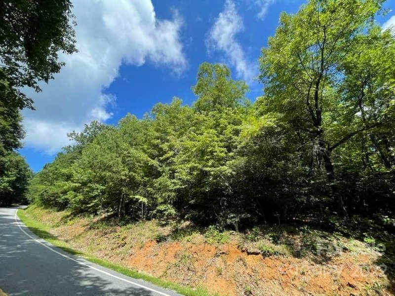 Property image 3 at 0 White Oak Mountain Road, Columbus, NC 28722