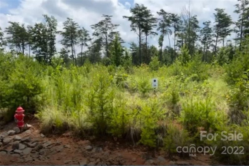 Property image 4 at 3031 W Moonlight Place, Morganton, NC 28655