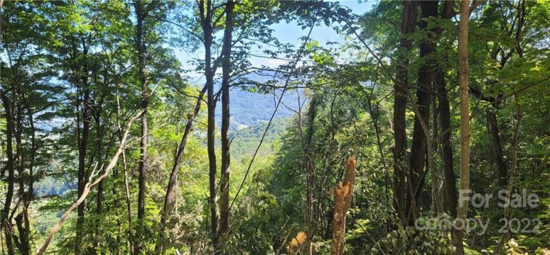 Property image 4 at Lot 614 Observation Point, Waynesville, NC 28785