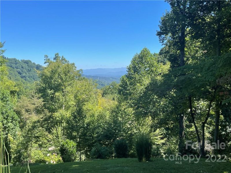 Property image 5 at 287 Whisper Mountain Drive, Leicester, NC 28748