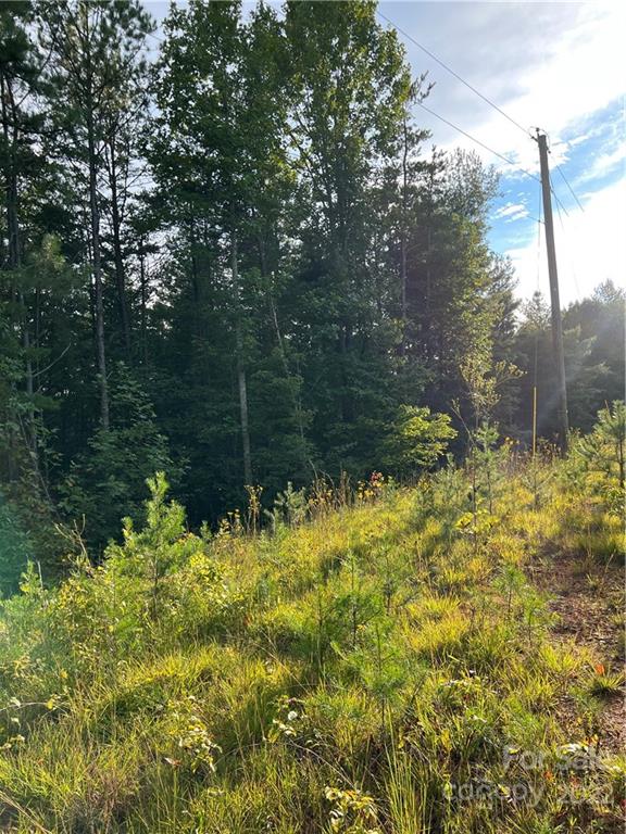 Property image 4 at 00 Lehi Lane, Collettsville, NC 28611