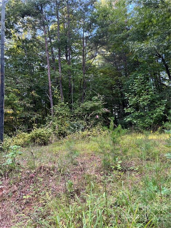 Property image 5 at 00 Lehi Lane, Collettsville, NC 28611