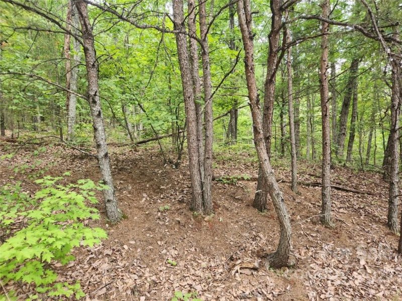 Property image 2 at 00 Spring Valley Drive, Union Mills, NC 28167