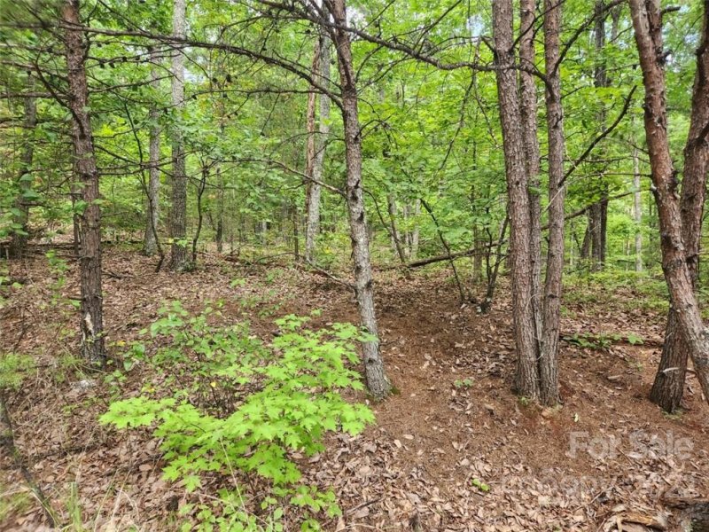 Property image 3 at 00 Spring Valley Drive, Union Mills, NC 28167