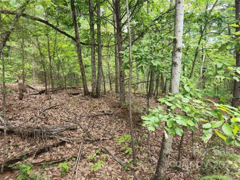 Property image 4 at 00 Spring Valley Drive, Union Mills, NC 28167