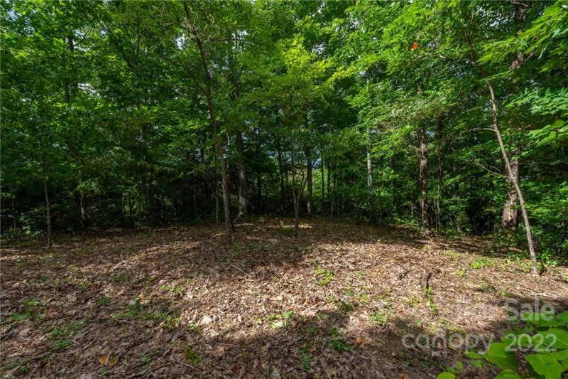 Property image 5 at 34 Berry Lane, Black Mountain, NC 28711