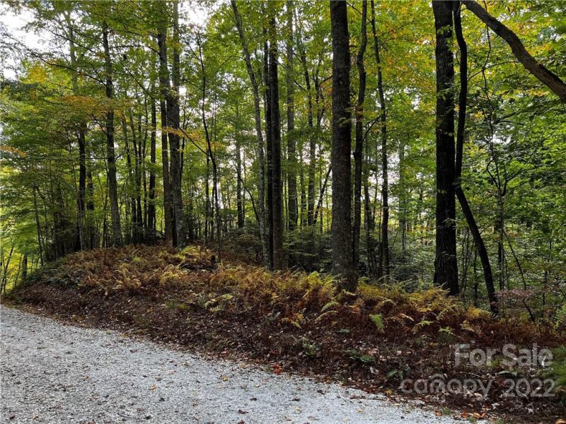 Property image 2 at 9999 Mocassin Trail, Rosman, NC 28772