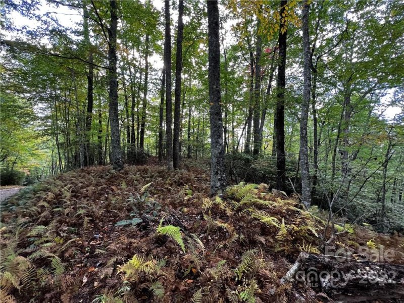 Property image 4 at 9999 Mocassin Trail, Rosman, NC 28772