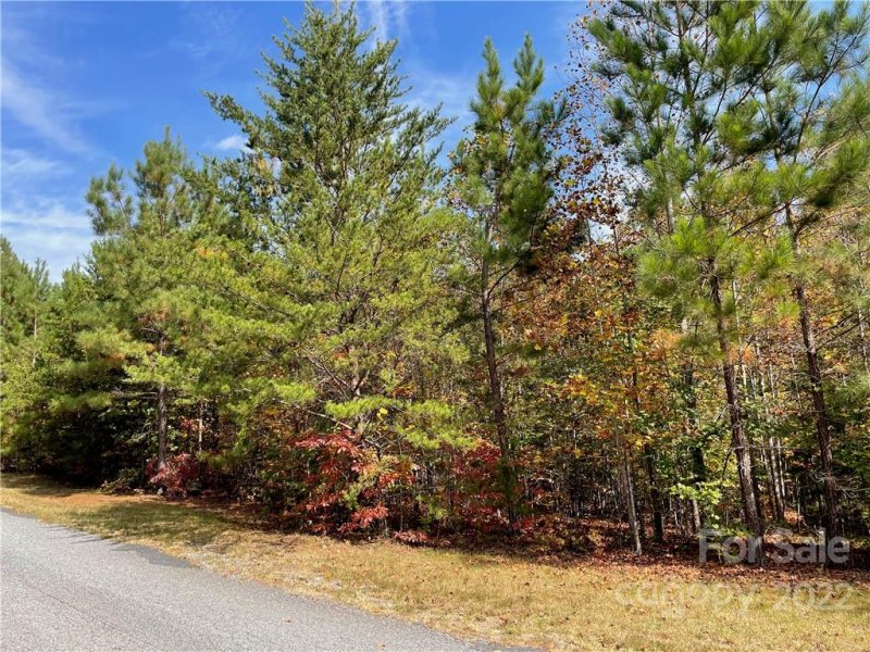 Property image 3 at 00 Hope Drive, Rutherfordton, NC 28139