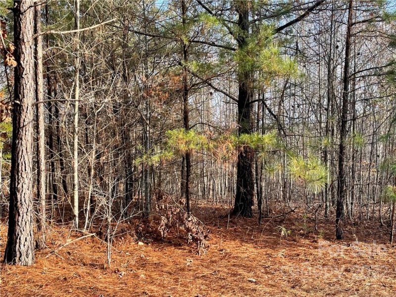 Property image 5 at 00 Hope Drive, Rutherfordton, NC 28139