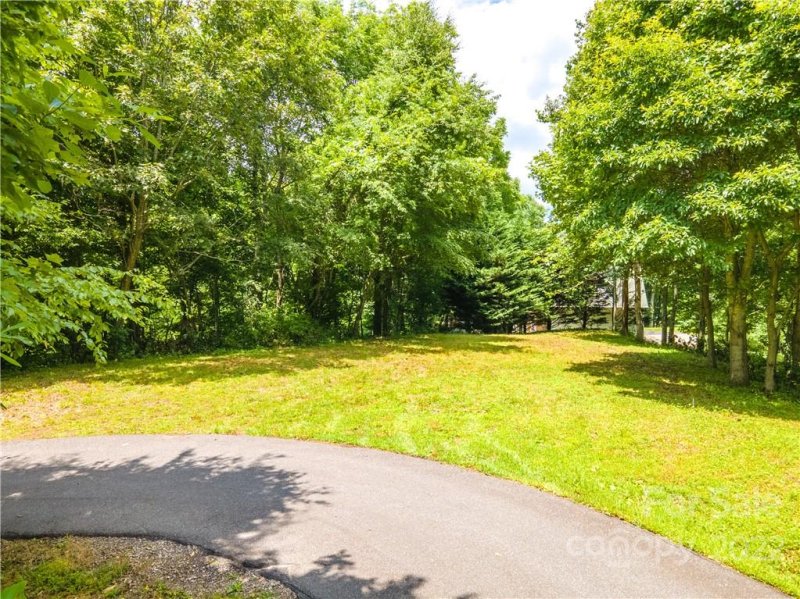 Property image 3 at Lot 101 Tuxedo Ridge, Maggie Valley, NC 28751