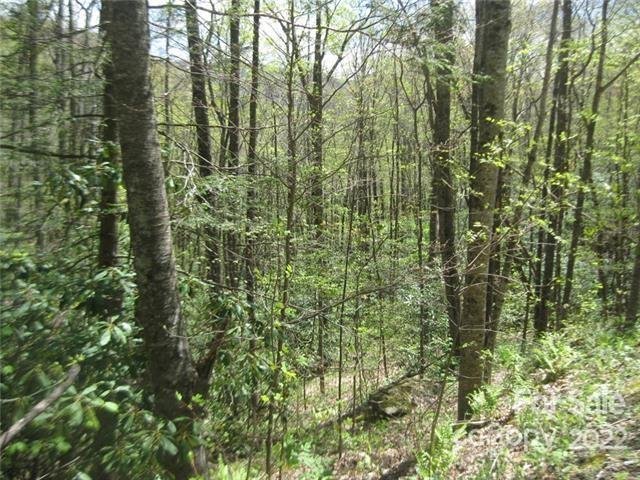 Property image 3 of 23 Wood Haven Lane in Laurel Ridge, Black Mountain, NC 28711