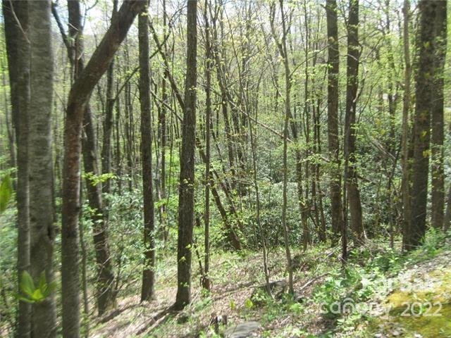 Property image 4 of 23 Wood Haven Lane in Laurel Ridge, Black Mountain, NC 28711