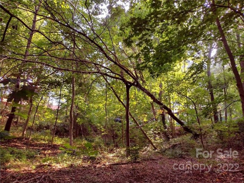 Property image 2 at 00000 Lakeside Drive, Asheville, NC 28806