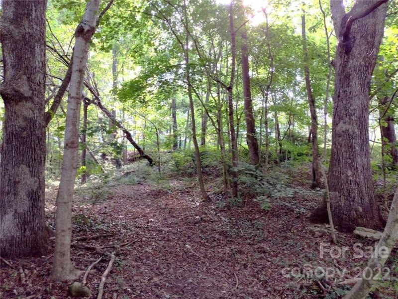 Property image 3 at 00000 Lakeside Drive, Asheville, NC 28806