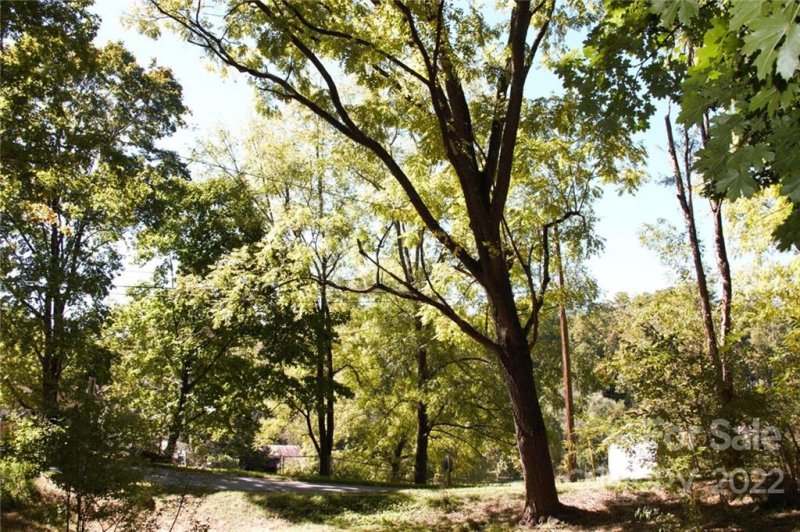 Property image 4 at 00000 Lakeside Drive, Asheville, NC 28806