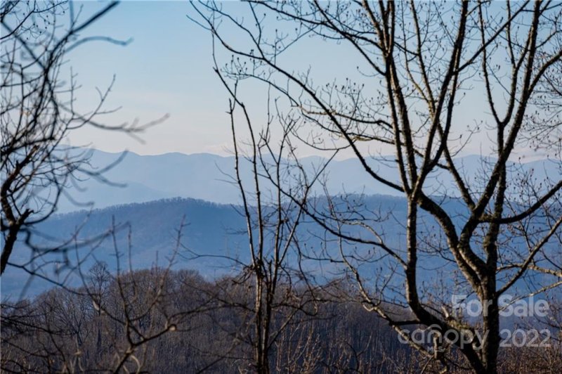 Property image 3 at 1043 Moss Creek Lane, Swannanoa, NC 28778