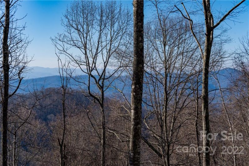 Property image 4 at 1043 Moss Creek Lane, Swannanoa, NC 28778