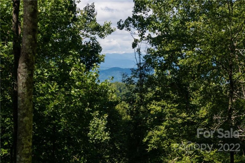 Property image 5 at 1043 Moss Creek Lane, Swannanoa, NC 28778