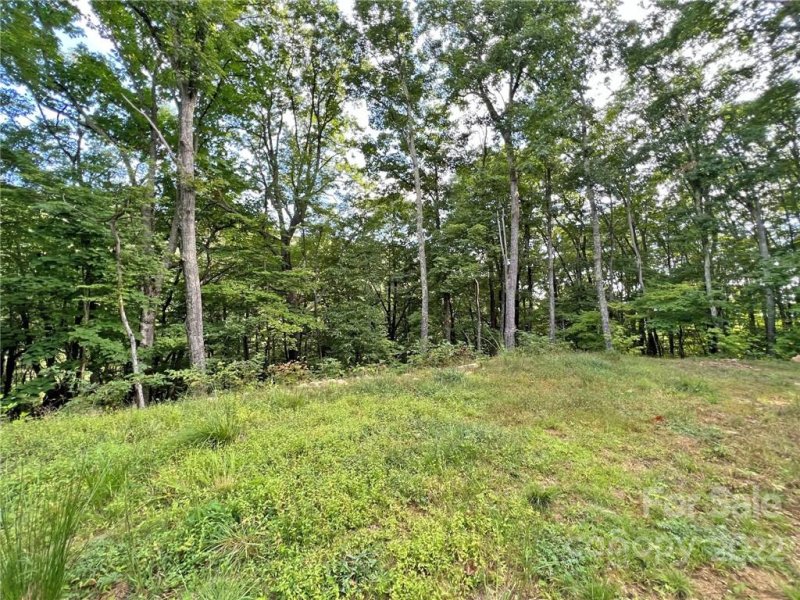 Property image 2 at Tbd Staghorn Drive, Hot Springs, NC 28743