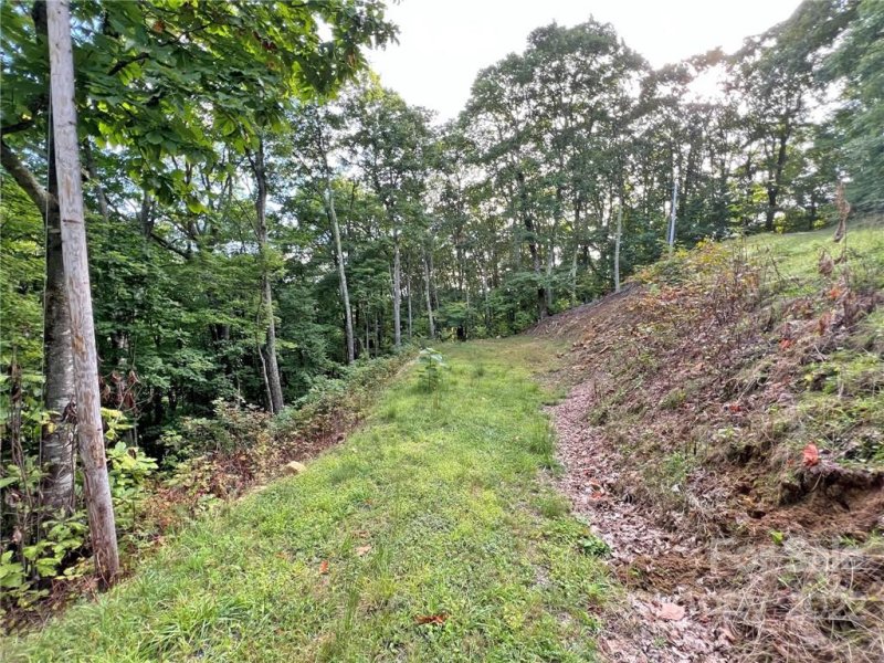 Property image 3 at Tbd Staghorn Drive, Hot Springs, NC 28743