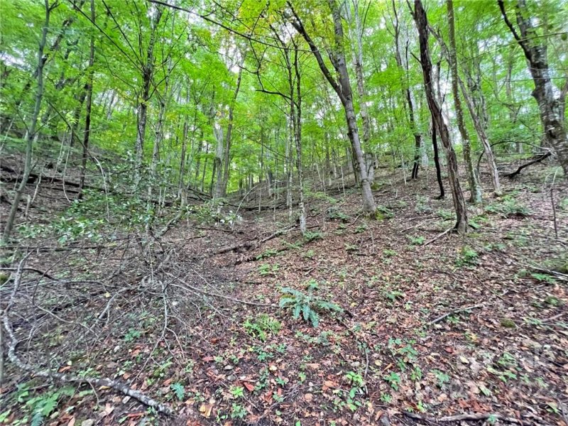 Property image 4 at Tbd Staghorn Drive, Hot Springs, NC 28743