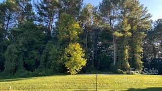 Property image 3 at 200 Harbor Ridge Drive, Connelly Springs, NC 28612