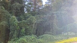 Property image 5 at 200 Harbor Ridge Drive, Connelly Springs, NC 28612