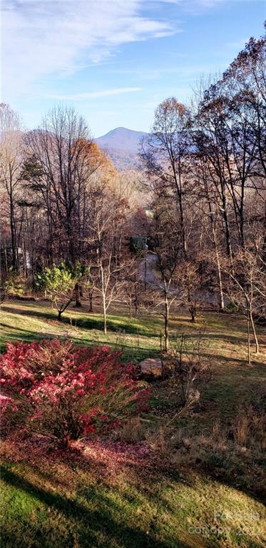 Property image 5 at 344 Cobblestone Drive, Waynesville, NC 28786