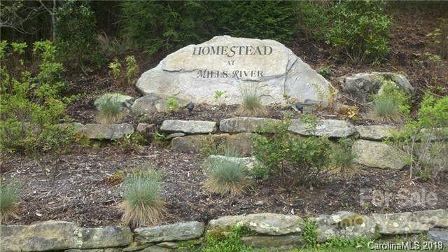 Property image 3 at 35r Mills River Way, Horse Shoe, NC 28742