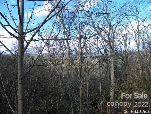 Property image 5 at 35r Mills River Way, Horse Shoe, NC 28742