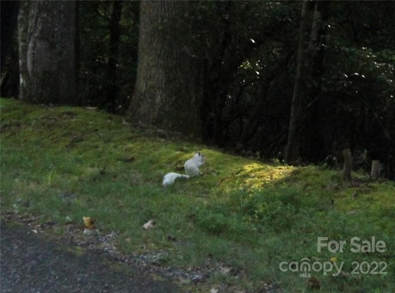 Property image 2 at Tract 32b Kentwood Lane, Pisgah Forest, NC 28768