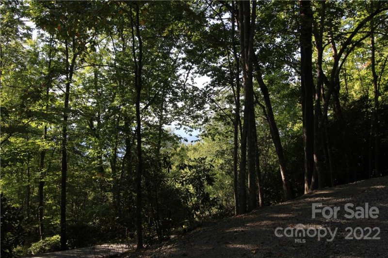Property image 3 at Tract 32b Kentwood Lane, Pisgah Forest, NC 28768