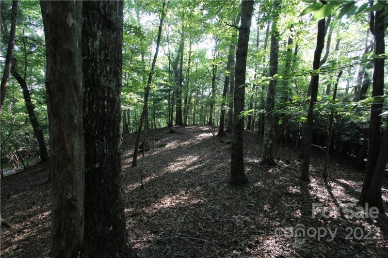 Property image 4 at Tract 32b Kentwood Lane, Pisgah Forest, NC 28768