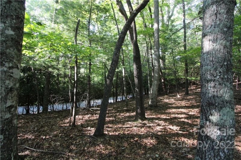 Property image 5 at Tract 32b Kentwood Lane, Pisgah Forest, NC 28768