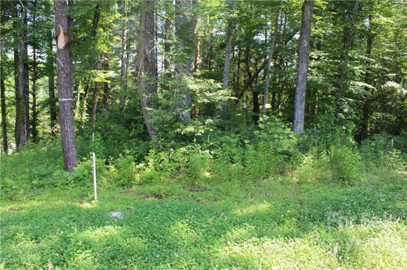 Property image 4 at 161 Edgewater Point, Valdese, NC 28690