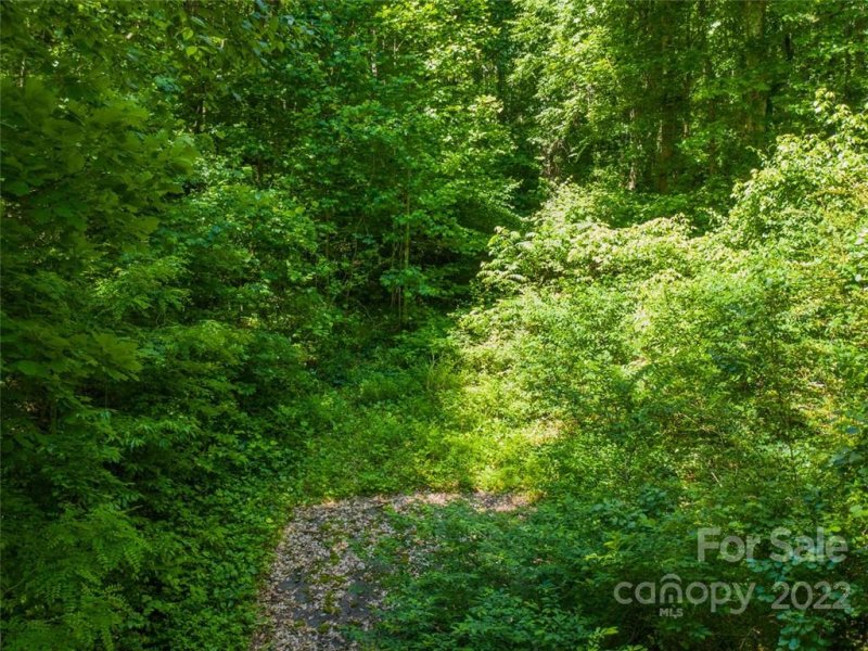 Property image 5 at 00 Running Deer Lane, Mars Hill, NC 28754