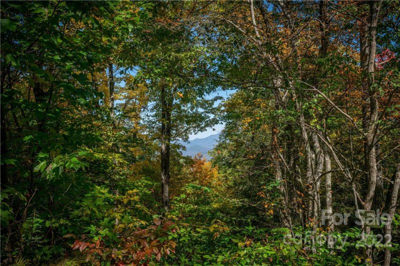 Property image 3 at 201 Chickadee Lane, Maggie Valley, NC 28751