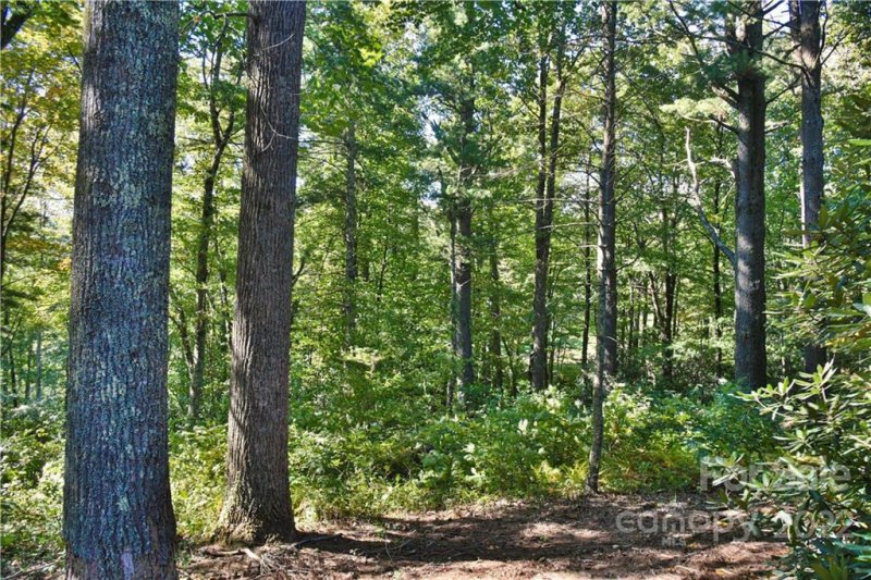 Property image 5 at 64 Sunrise Ridge Road, Spruce Pine, NC 28777