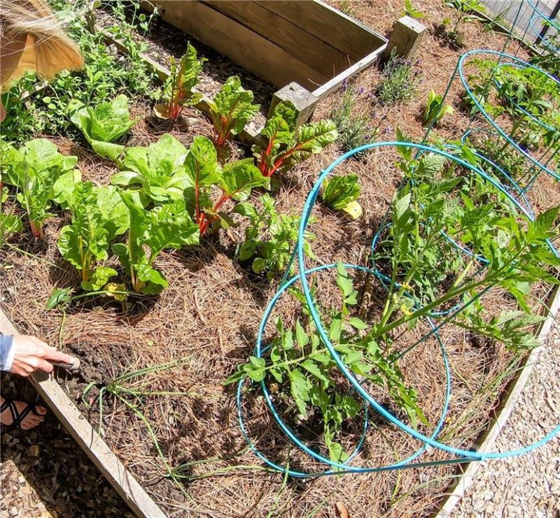 Property image 5 at 0000 New Sprout Lane, Hendersonville, NC 28792