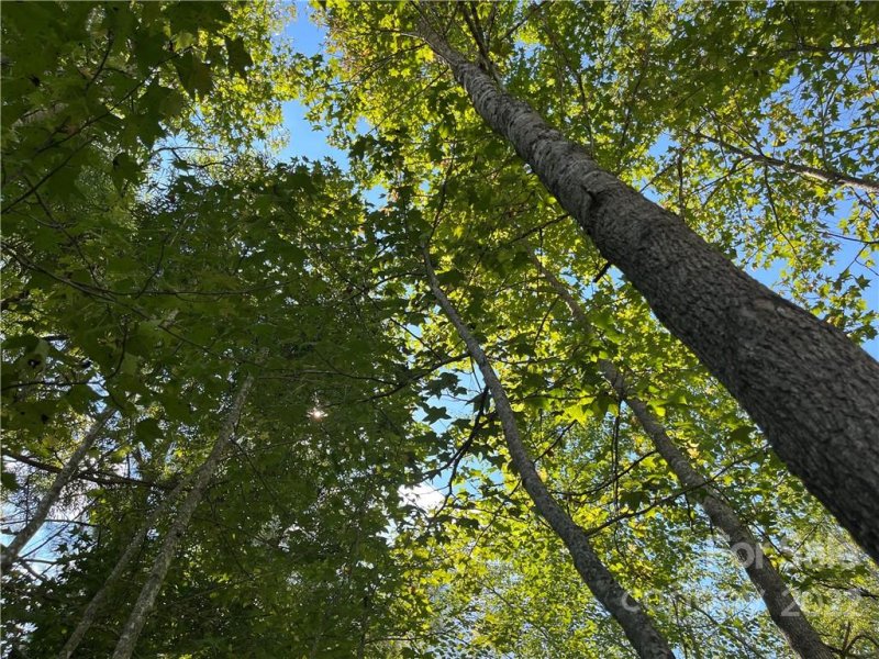 Property image 5 at 269 Eagle Creek Road, Clover, SC 29710