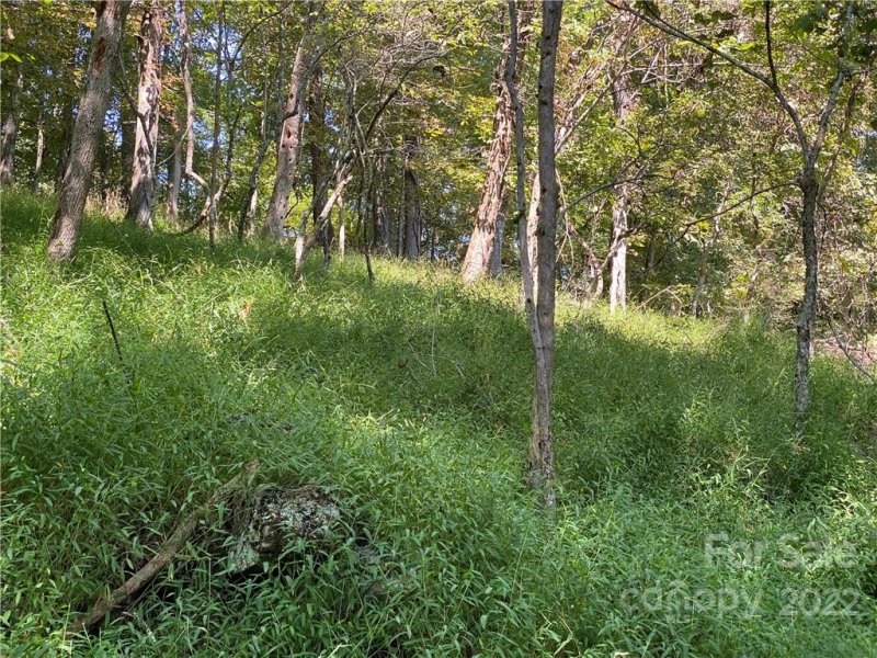 Property image 2 at 99999 Old Log Road, Green Mountain, NC 28740