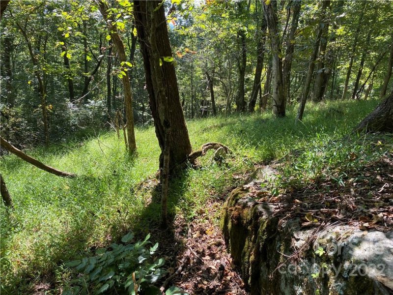 Property image 3 at 99999 Old Log Road, Green Mountain, NC 28740