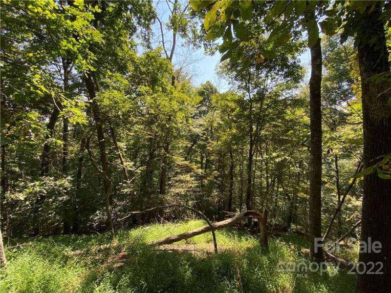 Property image 4 at 99999 Old Log Road, Green Mountain, NC 28740