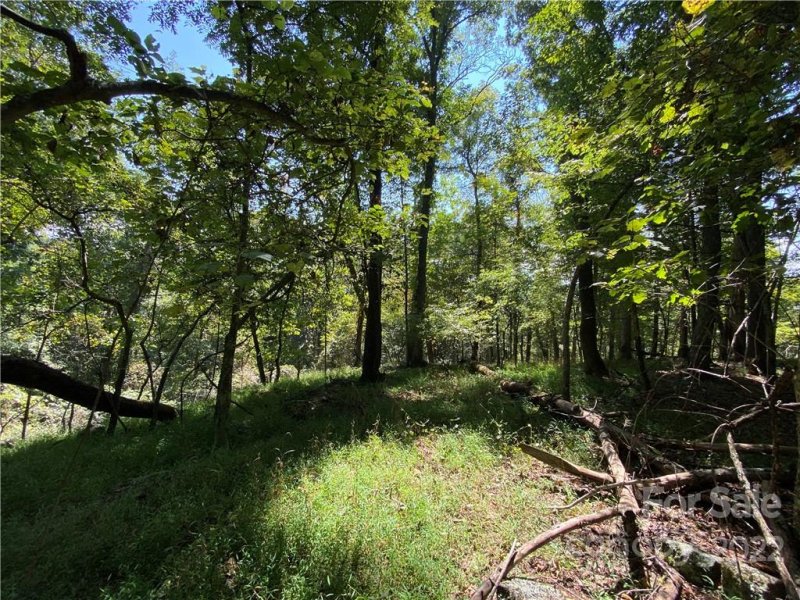 Property image 5 at 99999 Old Log Road, Green Mountain, NC 28740